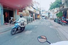 Chủ ngợp bank giảm 1,2tỷ giá nhỉnh 14tỷ ngang 5,5m mt hồng lạc