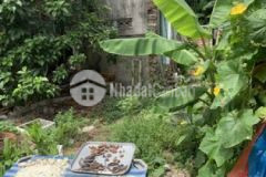 Bán lô đất kiệt trường chinh