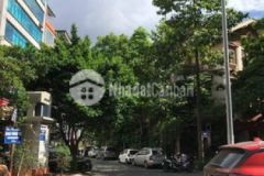 Bán đất tặng nhà nguyễn khánh toàn 70m chỉ 6 1 tỷ