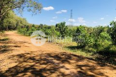 Đất tây ninh thổ cư sẵn, giá rẻ, gần kcn