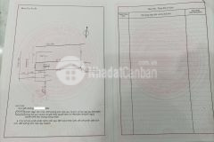 Siêu vị trí mặt bằng kinh doanh nguyễn ngọc lộc mt 5.2m 115m2