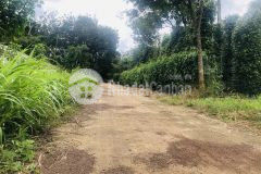 Siêu phẩm chân dài châu thành tây ninh quá rẻ đẹp đầu tư sinh lời cao