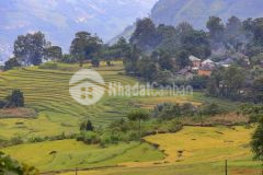 Du lịch 4 mùa y tý sapa2,vị trí đắc địa tiềm năng sinh lời cao