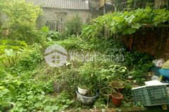 Bán đất phúc lợi long biên 40m ngõ thông ô tô tránh đầu tư nhỉnh 2 tỷ 0976002728.