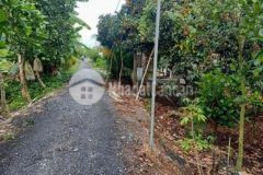 Đất vườn cù lao an bình