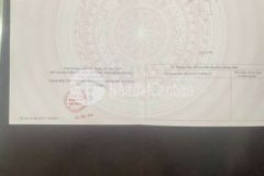 Nhà đồng sở hữu thái hòa