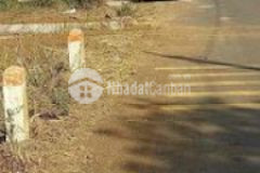 Mặt tiền cọ dầu chợ xuân tây cẩm mỹ