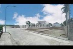 Đất đấu giá quất lâm quất động thường tín gi