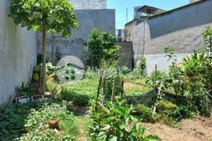 Cần bán lô đất ngang 9 6x 17 xây dc 2 căn nhà