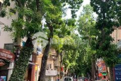 Mặt phố trần điền 9 tầng thang máy, vỉa hè, kinh doanhdt 80m2, 9 tầng, mt 6m, 26 tỷ