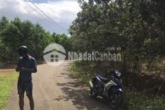 Tôi bán gấp giá thấp 3089 8m2 38 44x85m nhà vườn