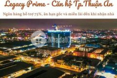 Căn hộ tp thuận an căn 1pn 1 view ngoại khu