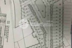 Bán sỉ 4 lô đất cho kinh doanh xây siêu phẩm