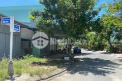 Bán cặp nước mặn 5 nam việt á