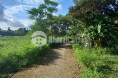 Đất có nhà ở sẵn tân hà hàm tân bình thuận 10x110 1,65 tỷ 100 thổ cư cách ql 55 600m