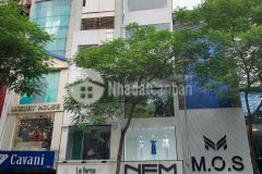 Bán nhà mặt phố thụy khê tây hồ lô góc rất đẹp 95m2 5 tầng thang máy mt 4.6m kd gía 28 tỷ