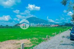 Ninh điền, châu thành,tây ninh