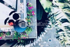 Cho thuê nhà 2 mặt tiền hà huy tập, khu vực sầm uất