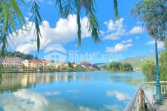 Sapa garden hills dự án gà đẻ trứng vàng