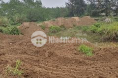 Bán đất đường hàng điều sát vách khu nhà ở hodeco.