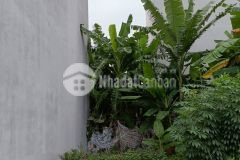 Bán đất dv khu b yên nghĩa, dt50m2, mt5m, 5.4 tỷ hà đông