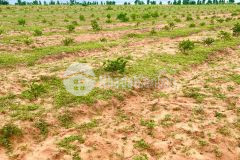 Lô đất mặt tiền cách ql1a khoảng 300m, giá chỉ 650 triệu 2500m2 shr lh 0919 626 750 xem sổ ạ