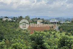 Đất nền bảo lộc giá siêu hot chỉ từ... 6trm2... sở hữu ngay 1 nền villa sổ riêng từng nền