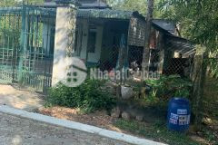 Xinh chào anh chị, tấn sẽ giới thiệu đến anh chị lô đất thuộc xã định hiệp, dầu tiếng, bình dương