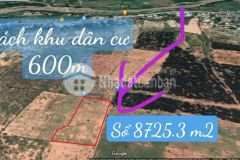 Bán 8.725m2 đất vườn khu phố lương đông, thị trấn lương sơn. lh hoặc add zalo tôi xem sổ0919626750