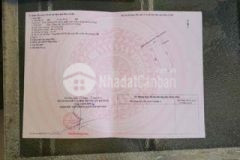 Đất kiệt ô tô giá rẽ