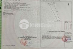 Đất biệt thự trảng dài