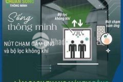 Mang cả hàn quốc về trung tâm hạ long