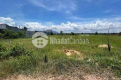 Được phân lô và lên thổ cư 2 7 sào mt đường 719