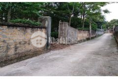 Bán 1161 m2 ở huyện ba vì, hà nội. giá chỉ hơn 2 triệum2.