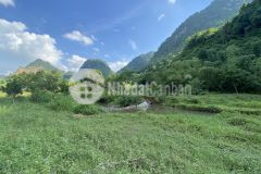 Bán gấp lô đất có dt 3000m2 có suối và ao trong đất giá chỉ 1,x tỷ