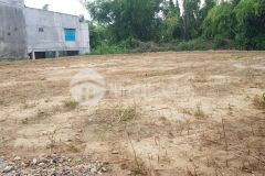 Bán đất giá rẽ có sỗ