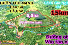 Bds hiếm giá rẻ view suối,diện tích lớn cách trung tâm gia nghĩa 15km tại tỉnh đắk nông