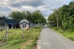 Cần bán miếng đất 111m2 ở củ chi giá 660 triệu.shr