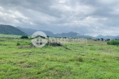 Kẹt tiền cần ra đi gấp đất lớn giá rẻ.