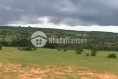 Đất bình thuận trao tay nhận ngay ưu đãi, sinh lời khủng