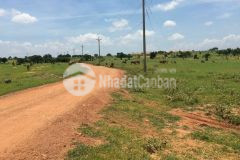 Bán đất 3000m2 gần biển,cao tốc,dự án nova,du lịch bàu trắng,giá 150km2