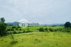 Bán gấp lô đất có dt 2262m2 sở hữu view triệu đô ở hợp phong