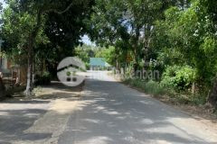 Cần bán miếng đất vườn 1184m2 ở củ chi giá 1 tỷ 850