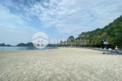 Đất nền vân đồn. đầu tư f0,sổ hồng sang tay rinh ngay lợi nhuận