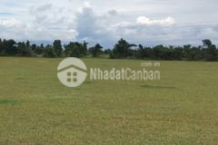 Bán mảnh đất gần khu du lịch tại bình thuận, shr