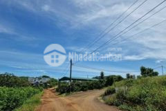 Đất nền cạnh kiwiki view rừng thông