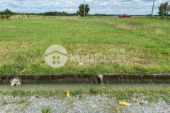 Bán đất gần đường trung lập 1036m2 3 2 tỷ cc