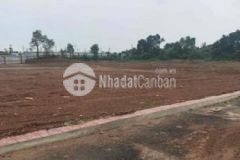 Bán đất gần quốc lộ 1a giá đầu tư fo