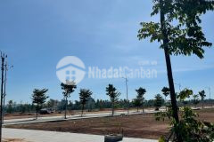 Chính chủ cần ra đi lô đất ngay trung tâm kinh tế biển hoài nhơn