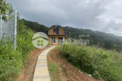 Đât xuân tho đương ô tô gia đâu tư cưc tôt